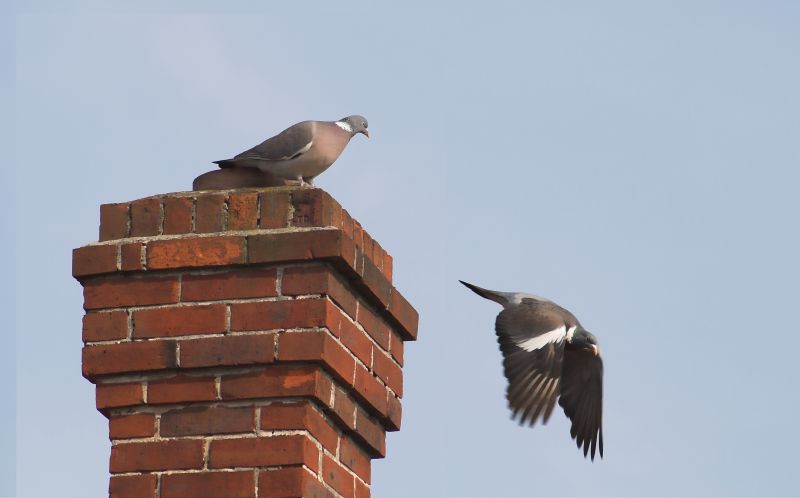 Chimney Building